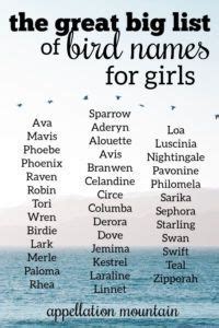 120 Names for Dolls ideas | names, baby names, baby girl names