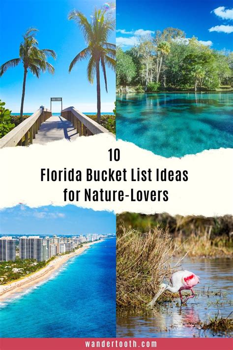 10 Florida Bucket List Ideas for Nature-Lovers - Wandertooth Travel