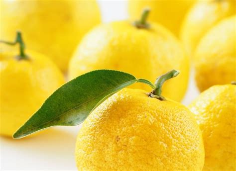 Why Is Yuzu Fruit So Expensive? - CalorieBee