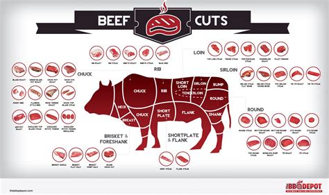 Beef Cuts Chart - Infographic Diagram - The BBQ Depot