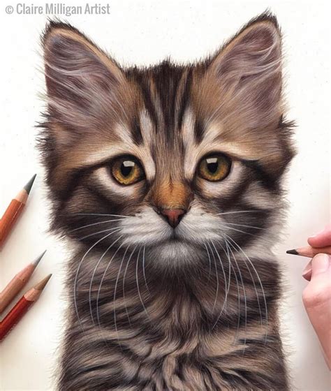 10 Animal Drawings and 1 Painting | Kitten drawing, Realistic animal ...