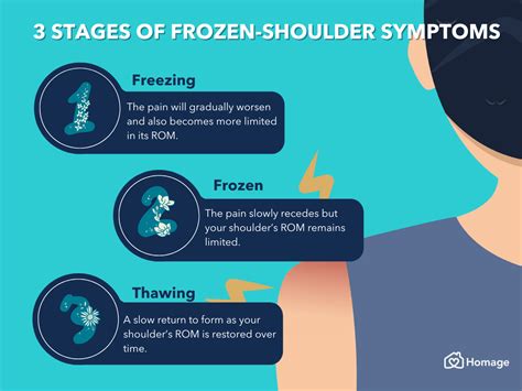 Frozen Shoulder 101: Symptoms, Causes, Treatment & Prevention - Homage ...