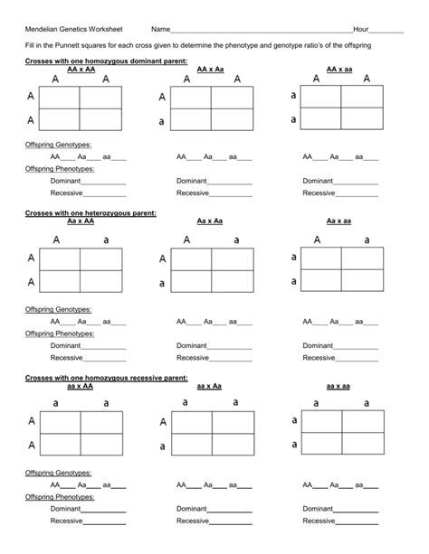 Punnett Square Worksheet - Merrillville Community School