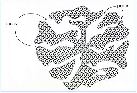 Activated Carbon Structure