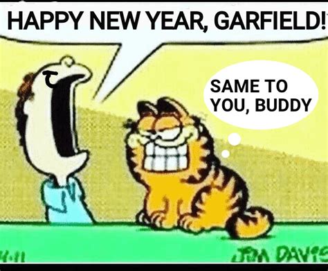 Garfield looking at a flag : r/garfield