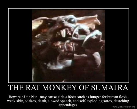 Sumatran Rat Monkey by Sibbs00000 on DeviantArt