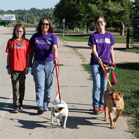 Adult Volunteer Programs – Longmont Humane Society