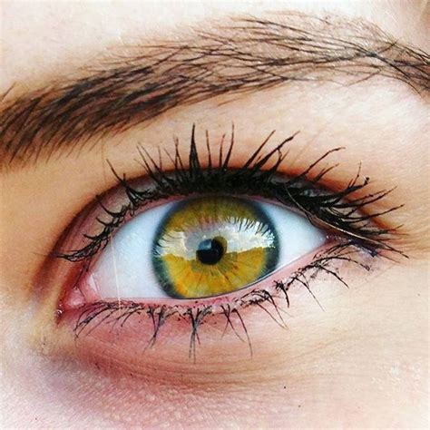 Pin by Amy Bellis on Me | Gold eyes, Beautiful eyes color, Eye photography