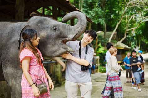 Among Giants: A Day at the Elephant Sanctuary in Koh Samui ...