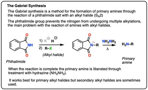 Aggregate 74+ anime acids - awesomeenglish.edu.vn