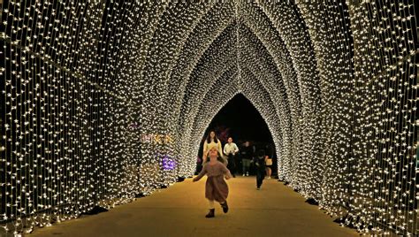 Lightscape returns to San Antonio Botanical Garden in November