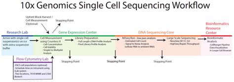 10X Genomics Single Cell Services – Gene Expression Center – UW–Madison