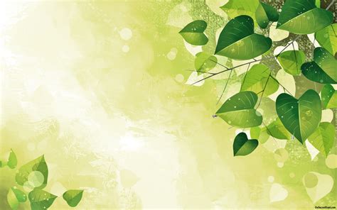 Green Flower Background - WallpaperSafari