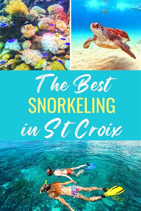 Top 5 Best St Croix Snorkeling Spots You Can’t Miss | Means To Explore