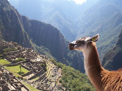 File:Machu Picchu 25.jpg - Wikimedia Commons