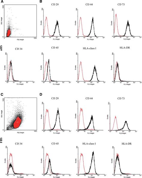 The expression of mesenchymal stem cell markers, as assessed by flow ...