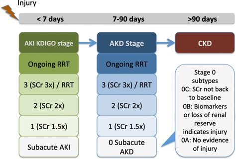 Acute kidney injury and acute kidney disease stages. AKI, acute kidney ...