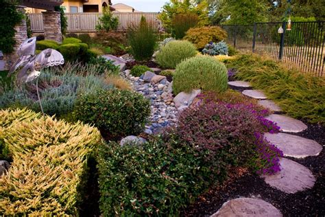 Plants for Landscaping - Landscaping Network