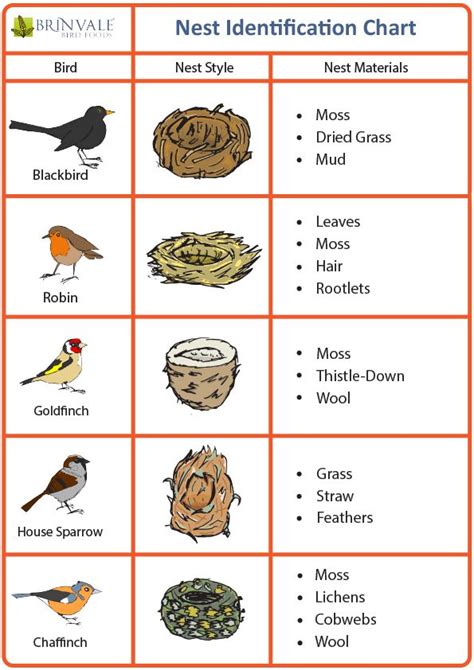 Bird Nest Identification Chart Related Keywords Bird . Bird Egg ...