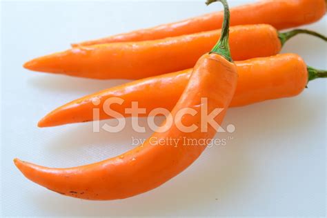 Red Chilli Stock Photo | Royalty-Free | FreeImages