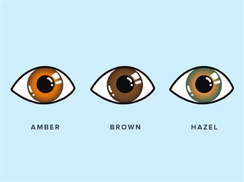 Amber Eyes: How Rare Are They? | Warby Parker