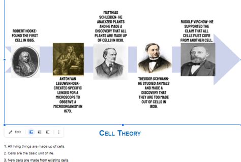 Cell Theory Diagram