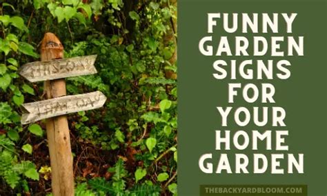 Funny Garden Signs for Your Home Garden - The Backyard Bloom