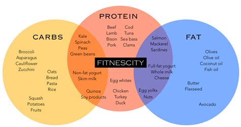 Macronutrients: What is the Ideal Breakdown? | DEXA Scan Near Me. VO2 ...