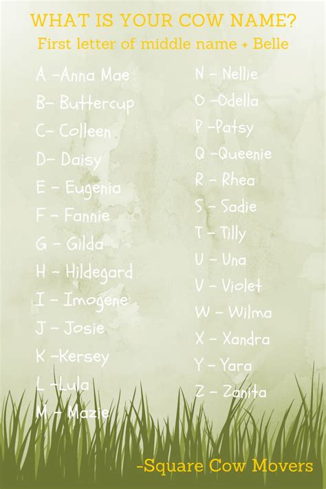 What is your cow name? | Cow names, Cows funny, Animals information