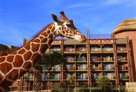 Disney's Animal Kingdom Lodge - Kissimmee, FL | disneyworld.disney.go ...