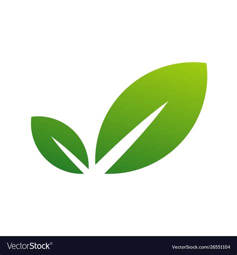 Green leaf logo design template modern leaf logo Vector Image