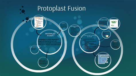 Protoplast Fusion by Sara Lala on Prezi