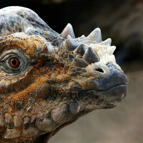 Pachycephalosaurus Head Reconstructed by DinoEsculturas. | ยุคก่อน ...