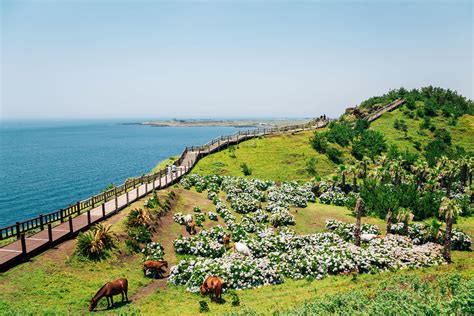 Jeju Island, South Korea: World’s Greatest Places 2023 | TIME