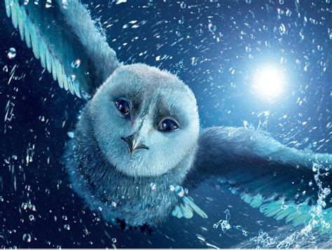 Hedwig Wallpapers - Wallpaper Cave