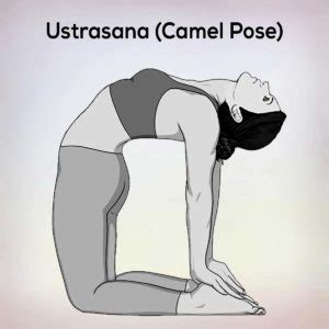 Ustrasana Camel Pose Steps Benefits And Precautions - nexoye