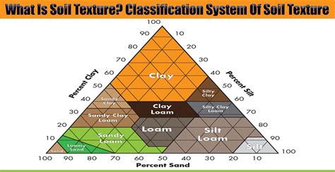 What Is Soil Texture? Classification System Of Soil Texture ...