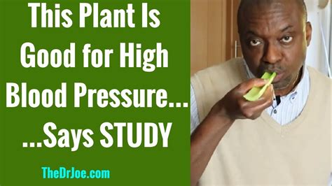 Is Celery Good For High Blood Pressure (Celery Juice for Hugh Blood ...