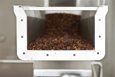 Raisins in Raisin Production Factory Packaging Stock Image - Image of ...