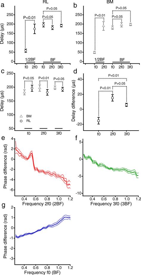 Time relationship between the reticular lamina and basilar membrane ...