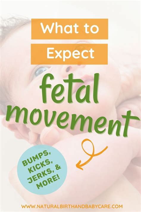 The Complete Guide to Fetal Movement in 2024 | Fetal movement, Low risk ...