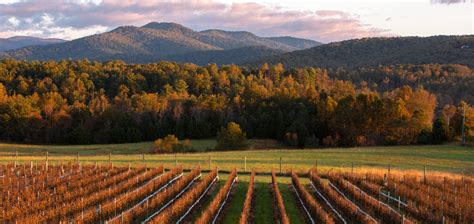 Fall in Charlottesville, Virginia: Savor the Season - The Local Palate