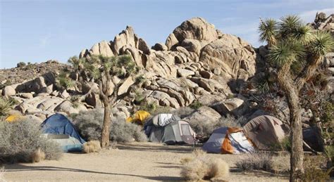 Sheep Pass Campground Joshua Tree National Park - TMBtent