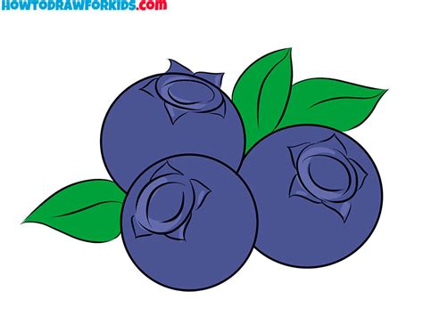 How to Draw a Blueberry - Easy Drawing Tutorial For Kids