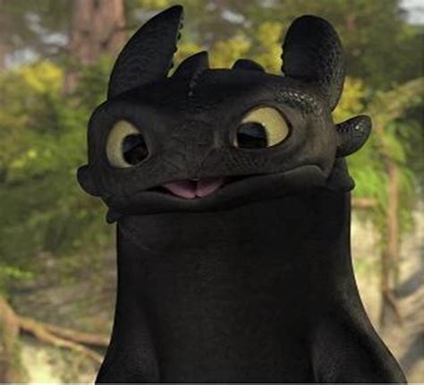 Image of: Toothless Funny By