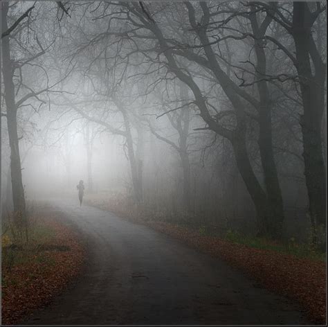 In a foggy wood by Vadim Trunov, via 500px | Beautiful backgrounds ...