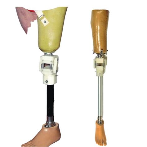 Prosthetic Leg Fit: Types of Knee Prosthesis for Leg Amputations