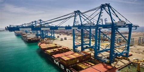 Shipping Activity at Port Qasim for January 25, 2024