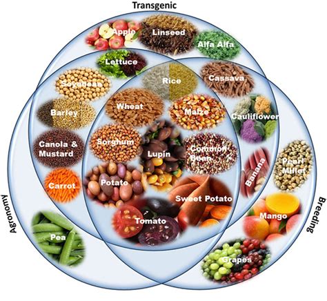 | Biofortified crops generated by different approaches: transgenic ...