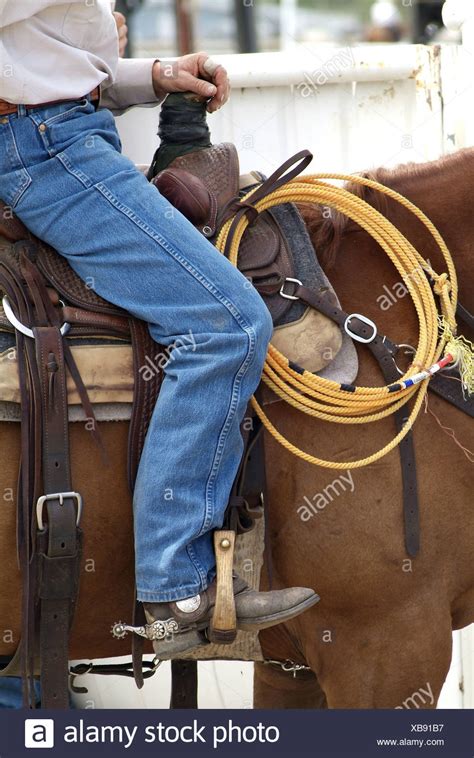 Stirrup Bone High Resolution Stock Photography and Images - Alamy